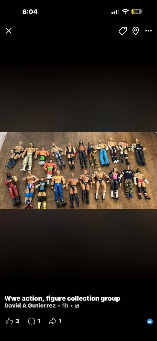 WWE Wrestling Action Figure Collection Lot of 22 Figures